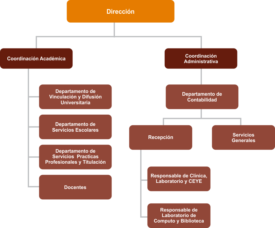 organigrama